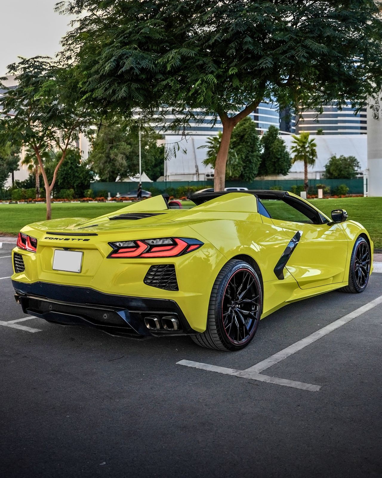 Chevrolet Corvette photo 5